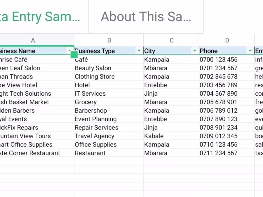 Cover image for This involves organizing business information in a spreadsheet
