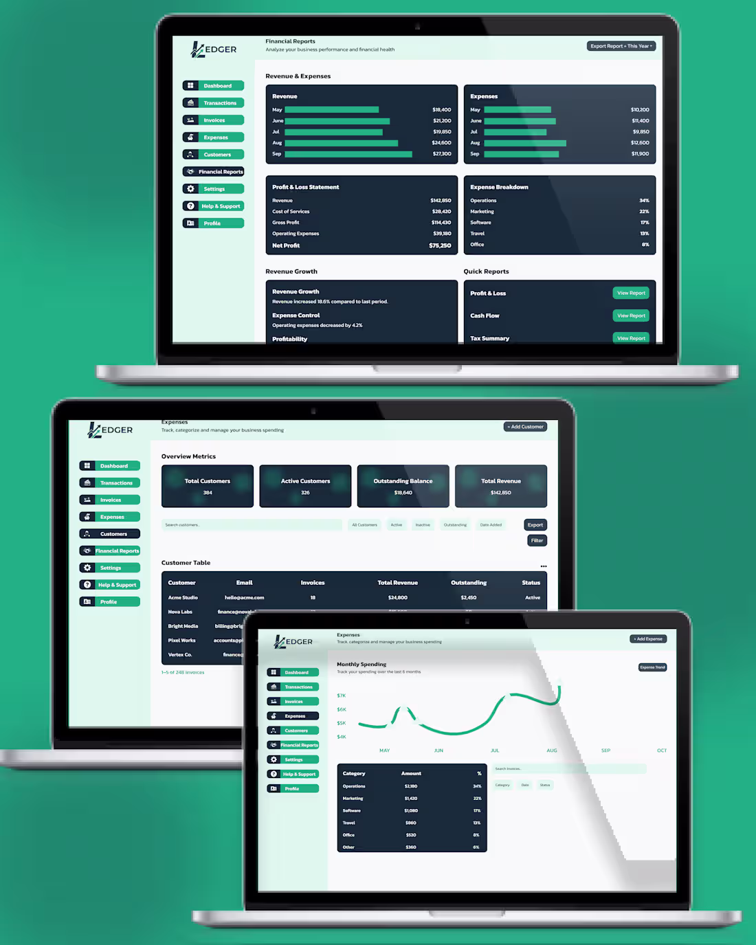 Cover image for LEDGER — Business Finance SaaS