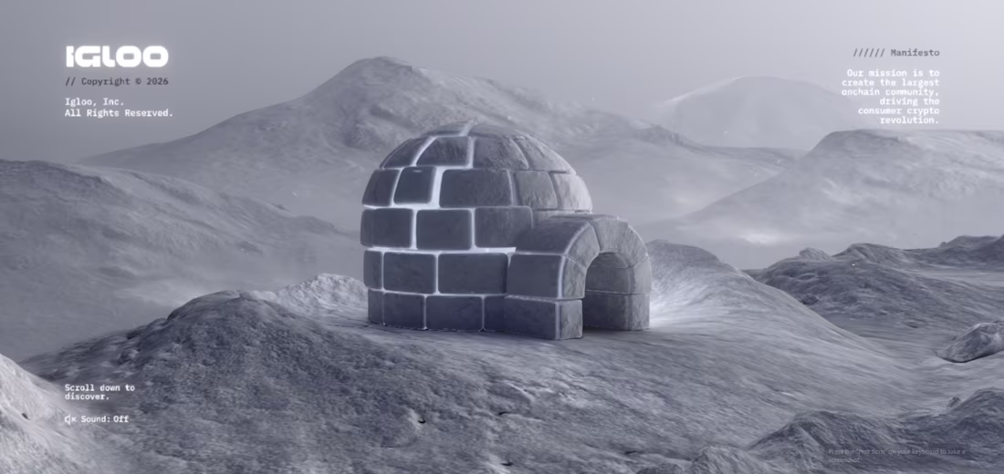 Cover image for igloo project