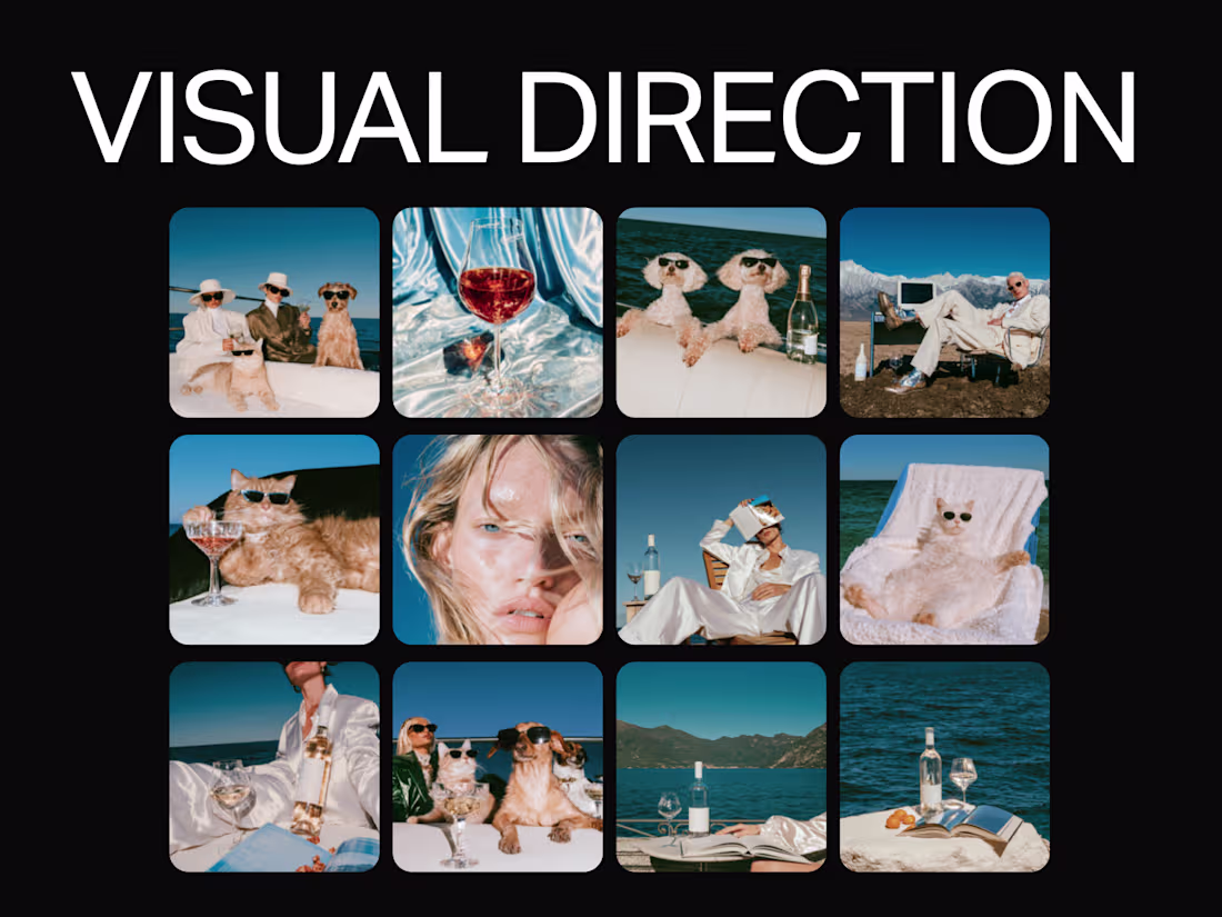 Cover image for Visual Direction (Brand)