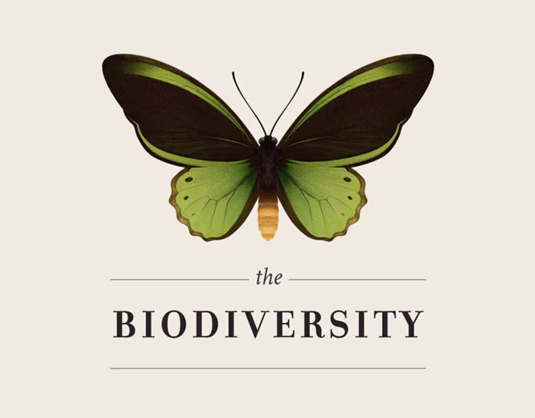 Cover image for The Biodiversity | Infographic :: Behance