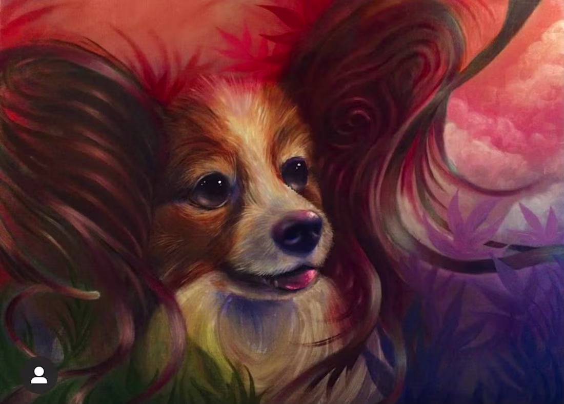 Cover image for Animal Illustration