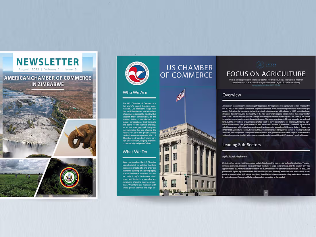 Cover image for Newsletter – Amcham Zimbabwe