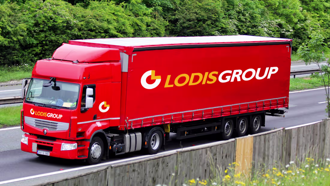 Cover image for Lodis Group