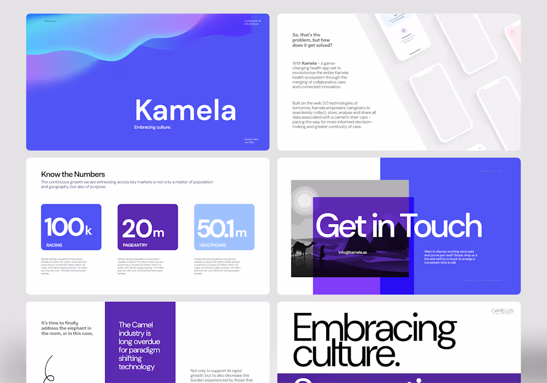 Cover image for Kamela pitch deck was good,