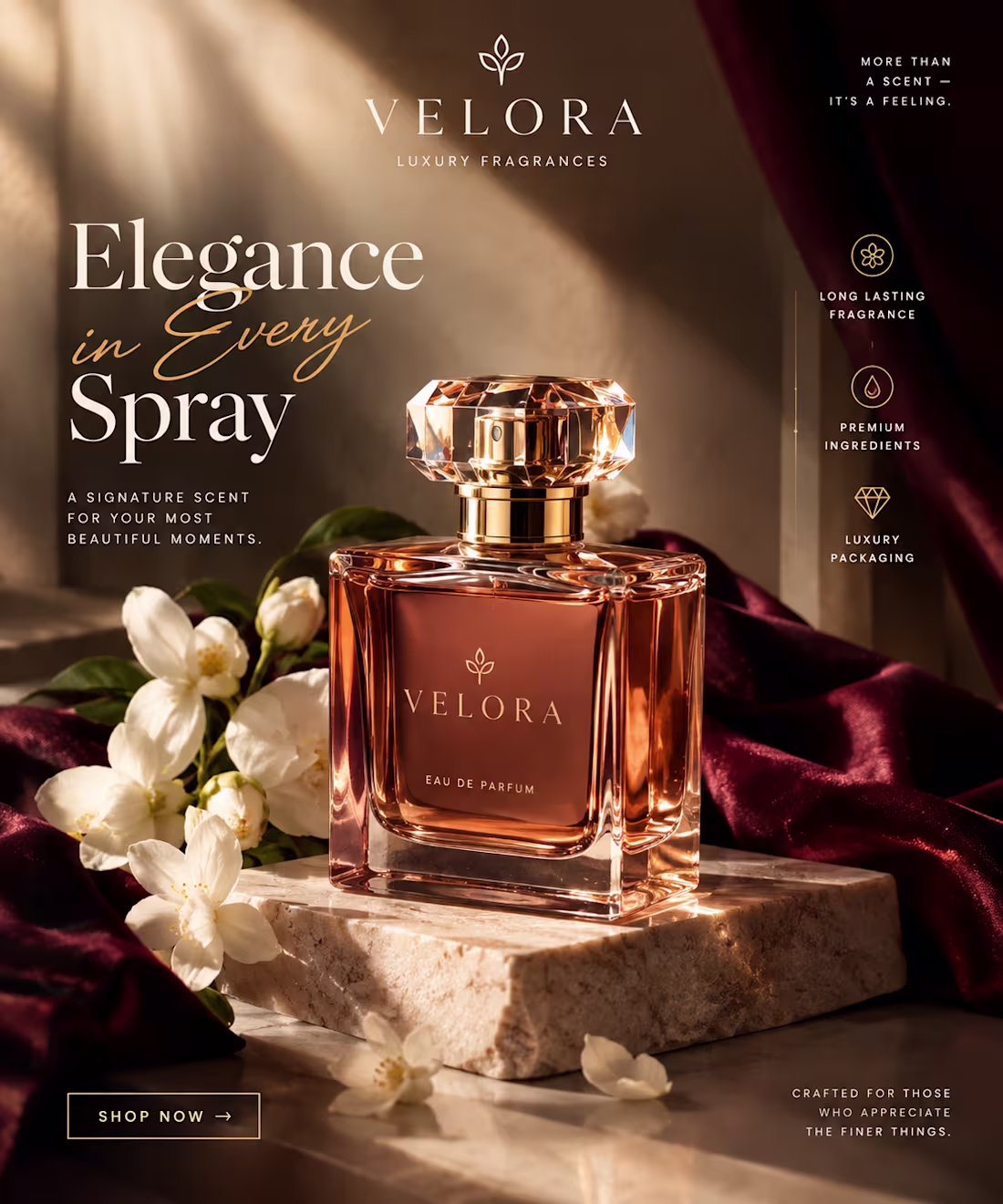 Cover image for VELORA — Elegance in Every