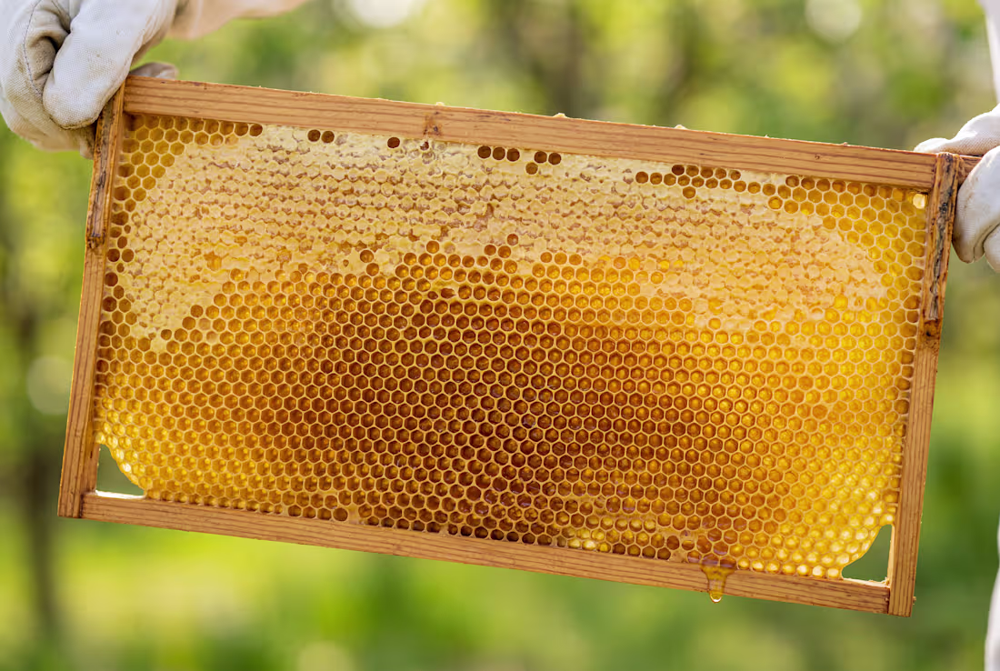 Cover image for A honey frame that sells