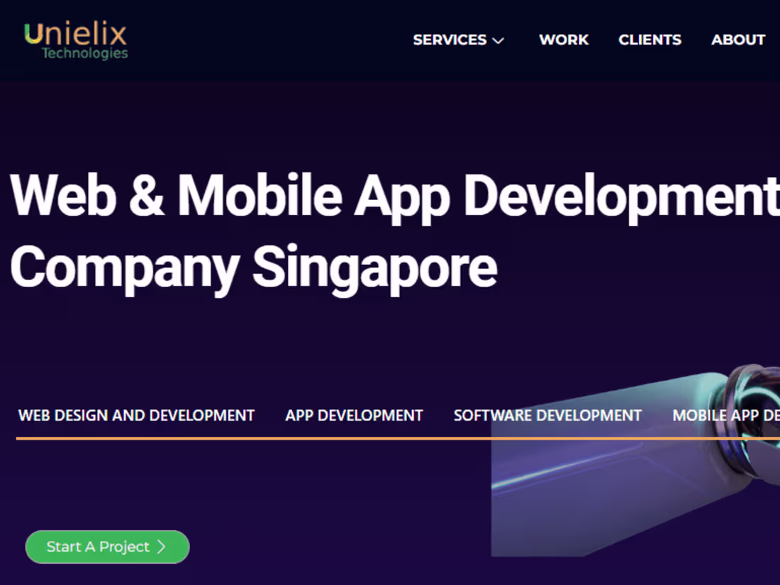 Cover image for Best Web Development Company Singapore 2024 - App Development C…