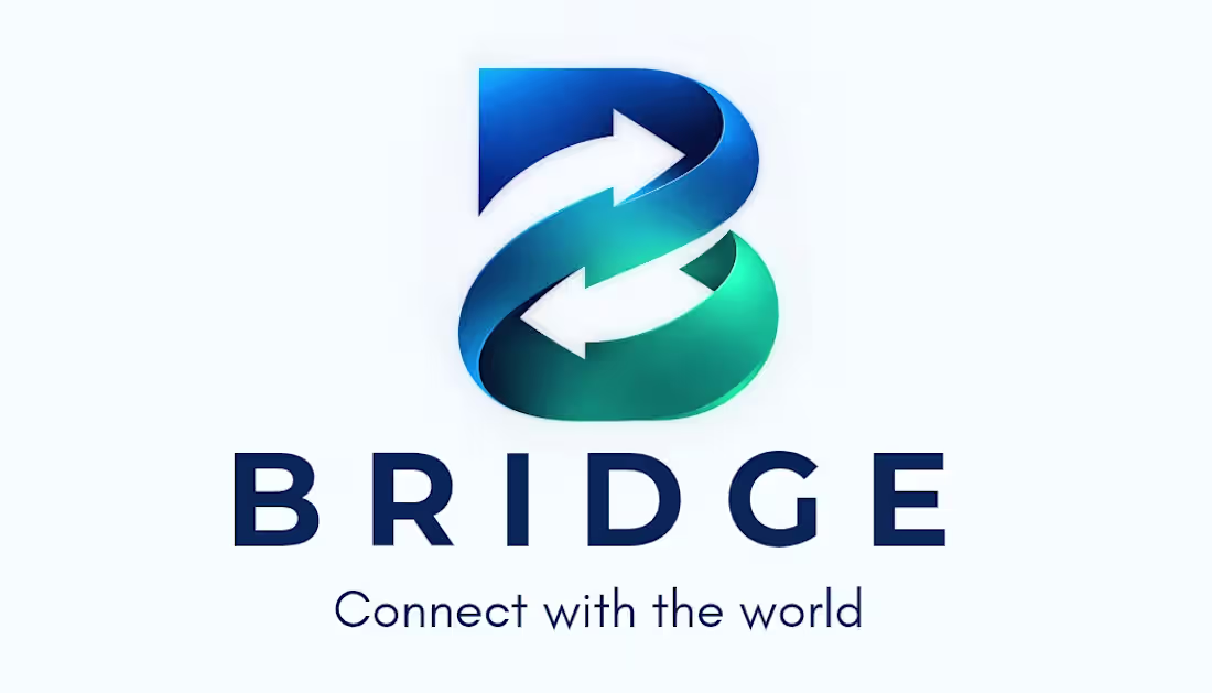Cover image for BRIDGE is a modern money