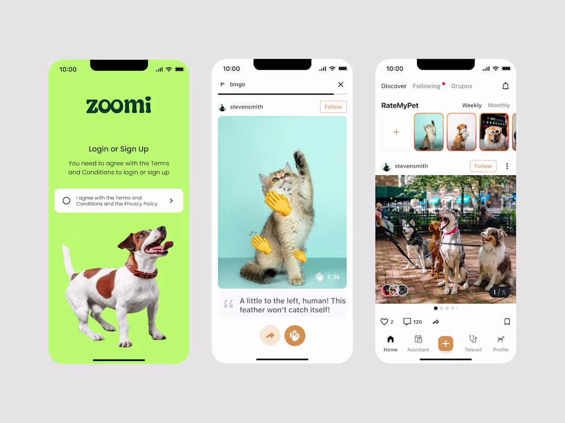 Cover image for Pet Owner Social Network