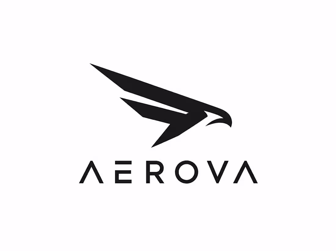 Cover image for AEROVA — Premium Falcon Logo Design