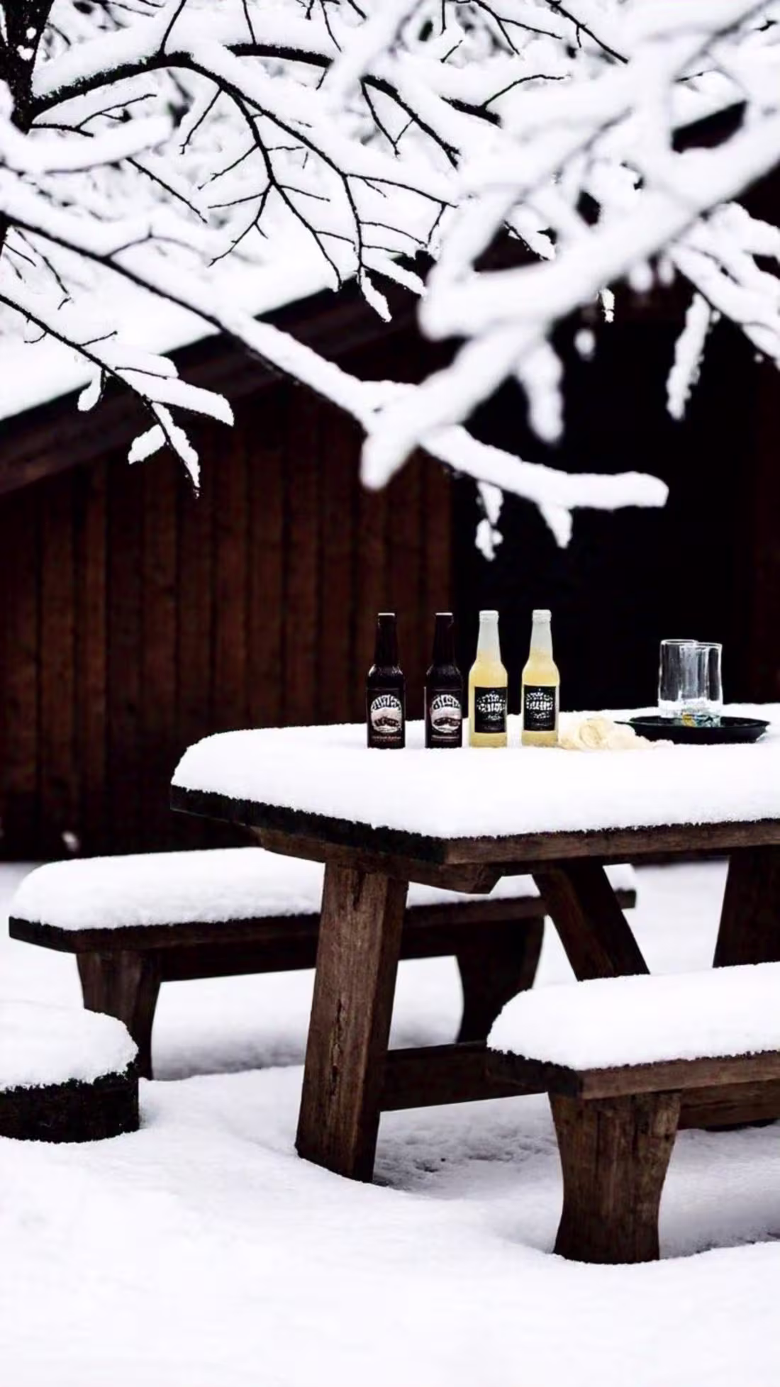 Cover image for Seasonal Brews: Winter’s Place in the Craft Beer World