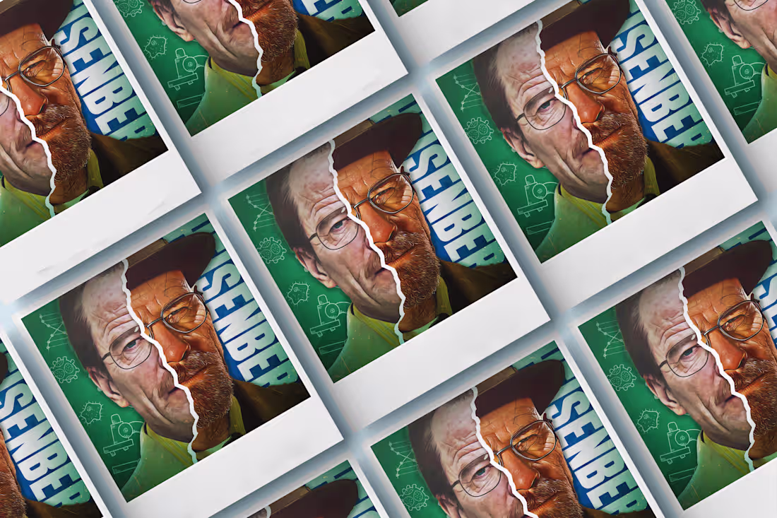 Cover image for When Mr. White Became Heisenberg. by Likhith Erram