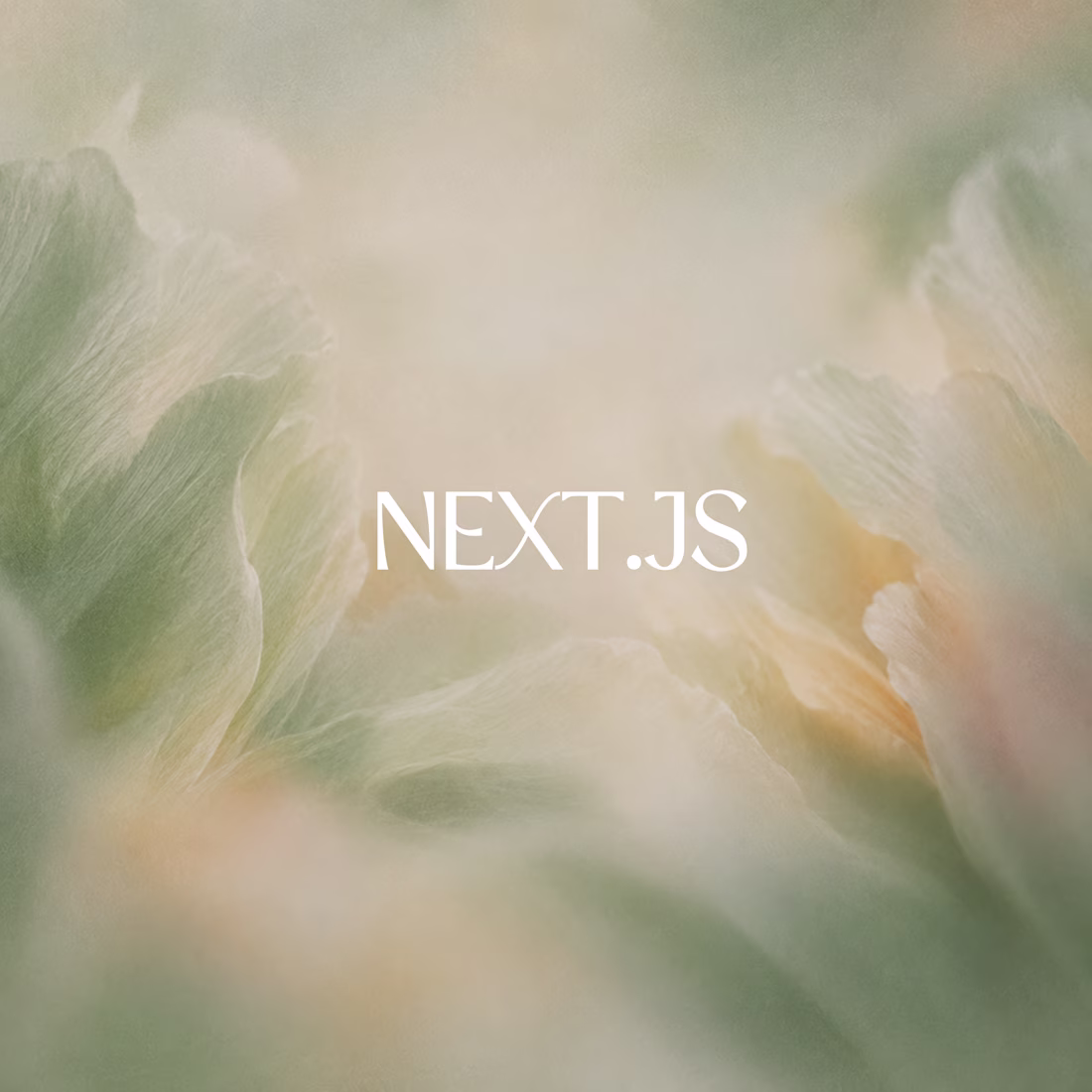 Cover image for Next.js Website & Web App Development for Startups