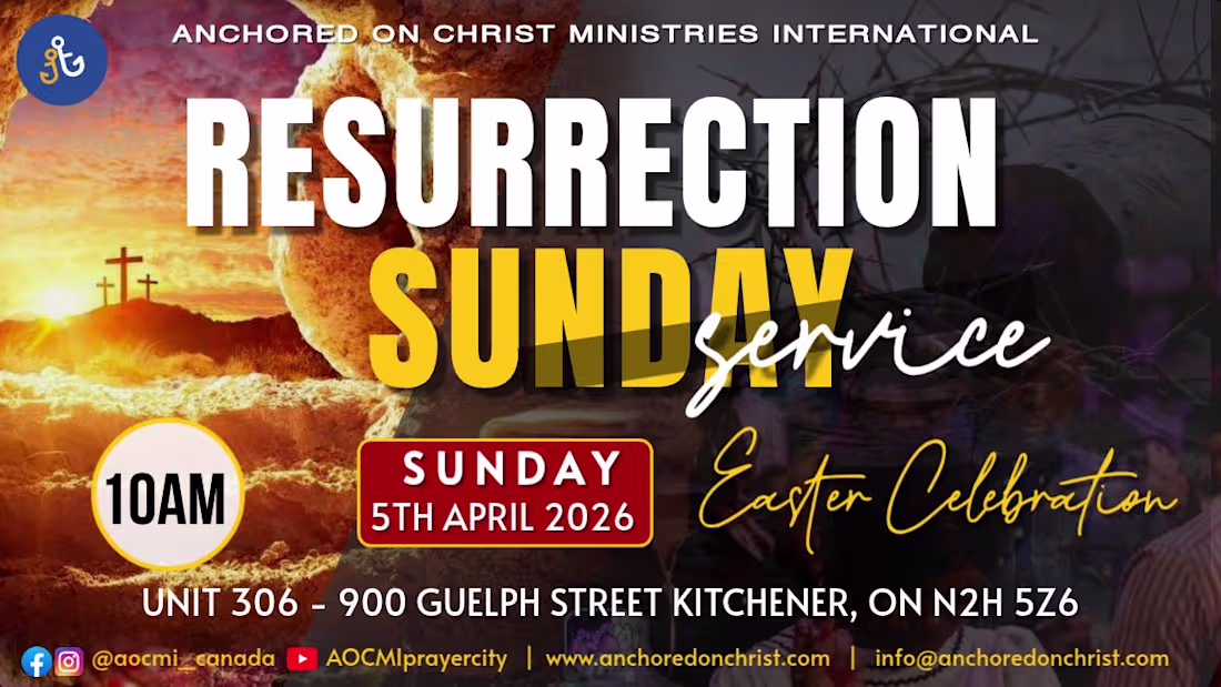 Cover image for Designed the promotional flyer for