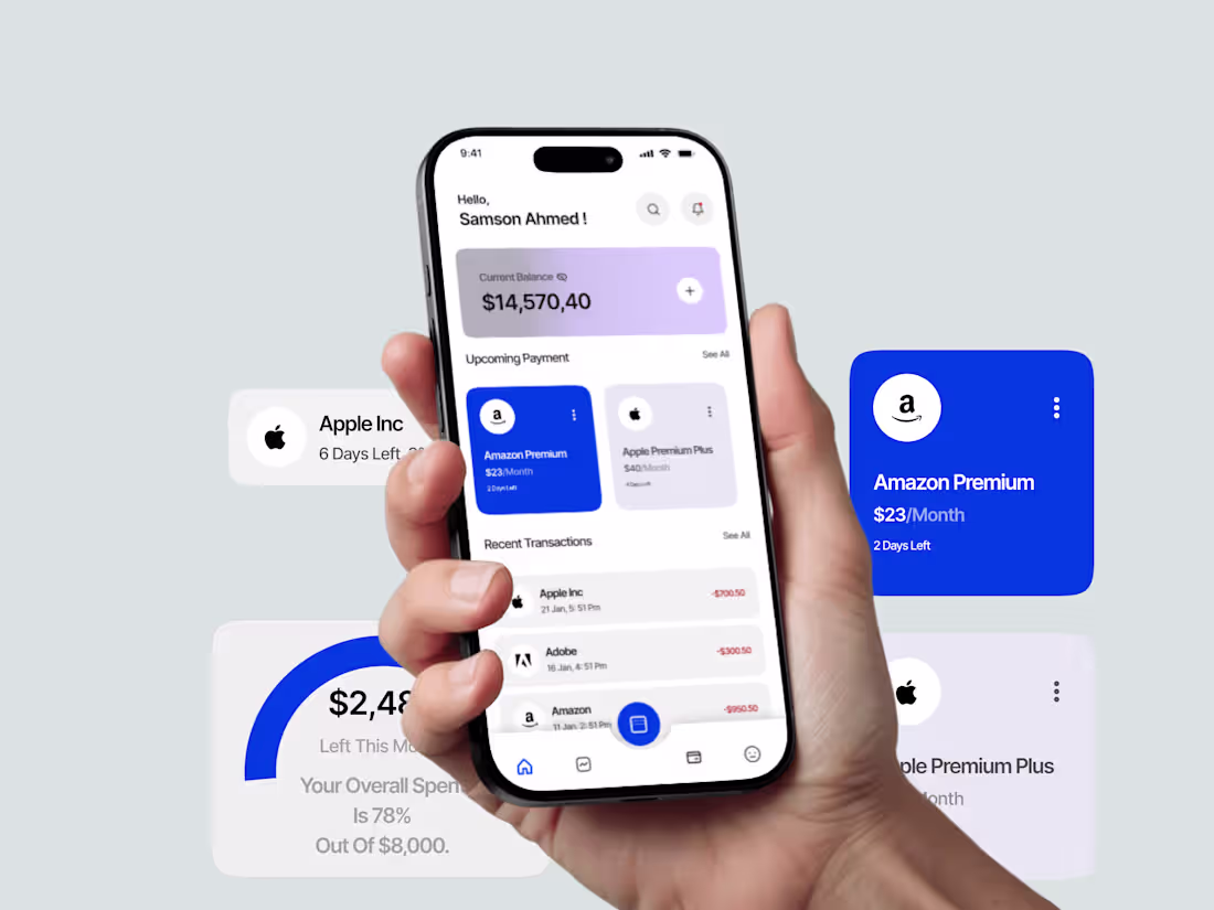 Cover image for Paylio financial management app