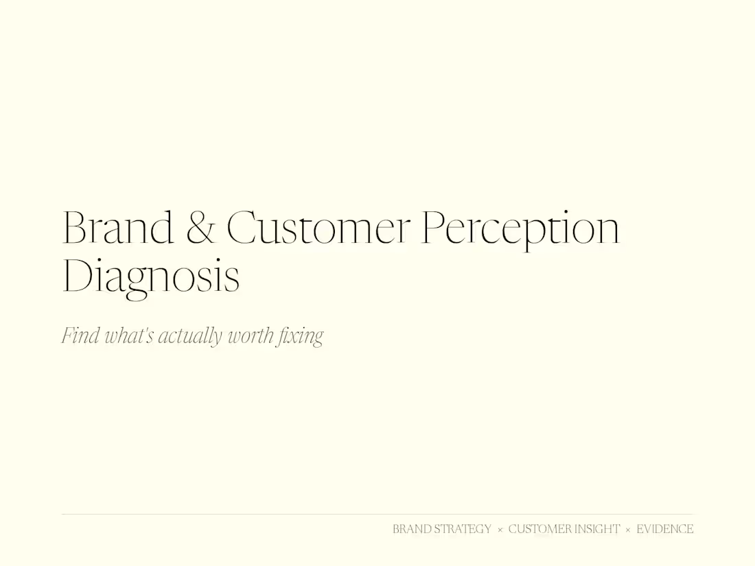 Cover image for Brand & Customer Perception Diagnosis