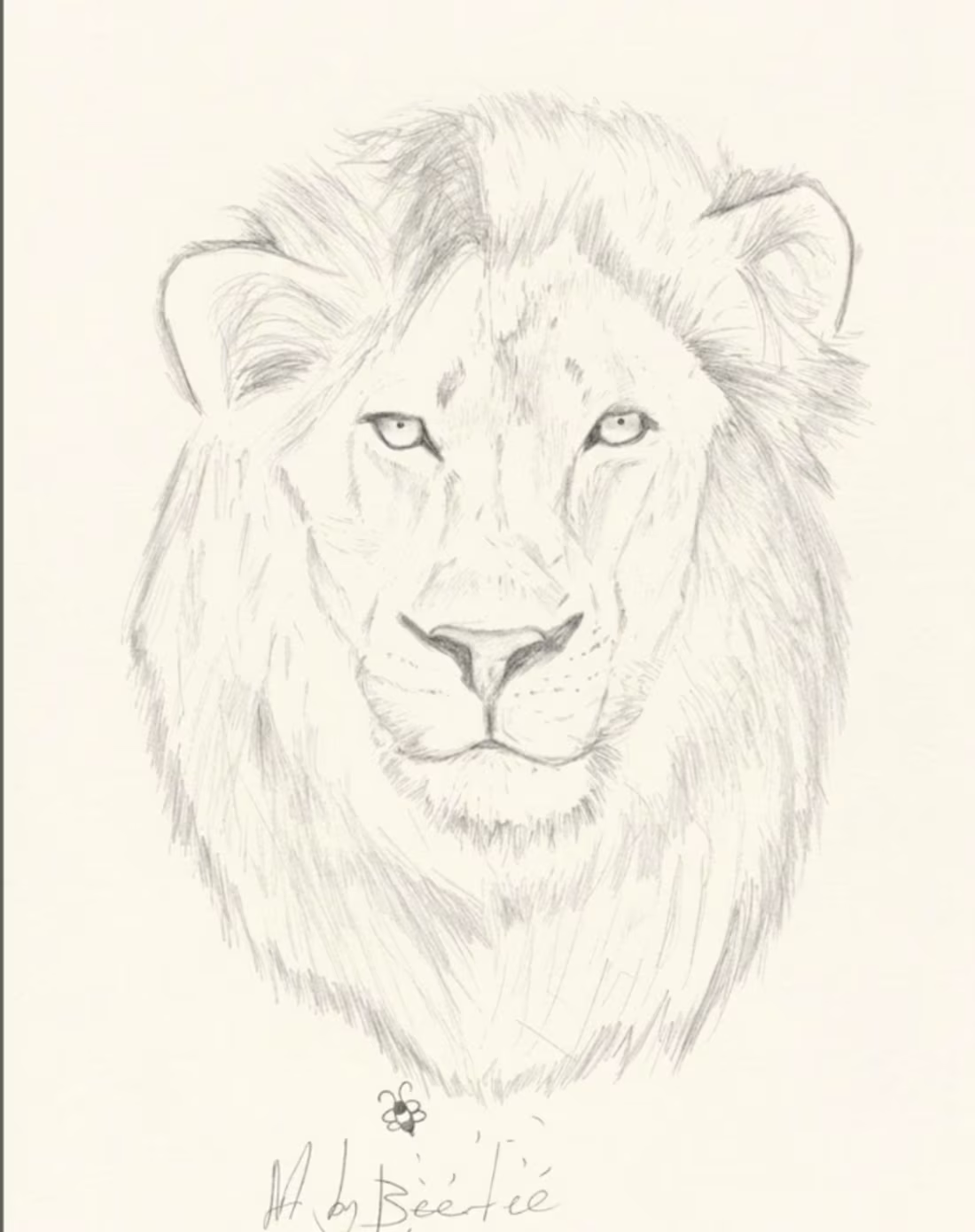 Cover image for Traditional & Pencil Sketch Artist