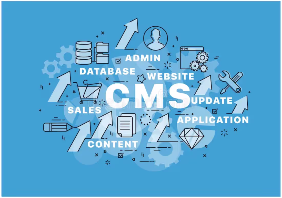 Cover image for CMS system Design & Development