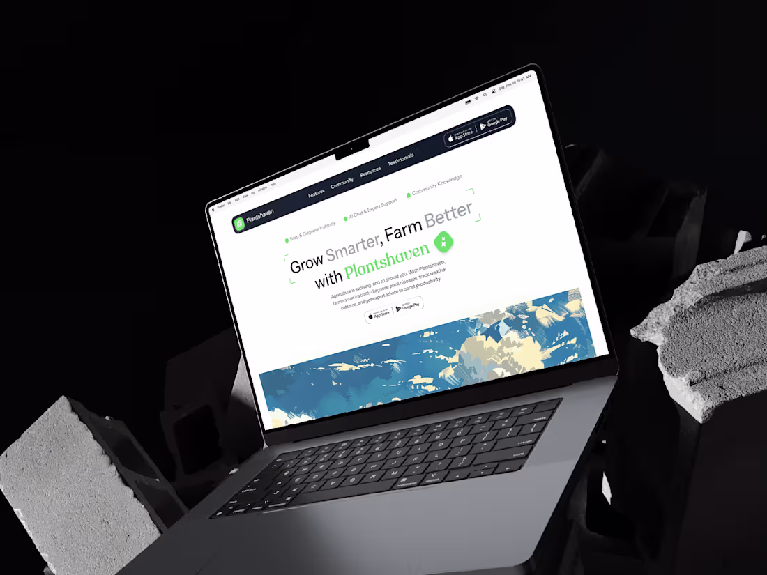 Cover image for Framer Website Development