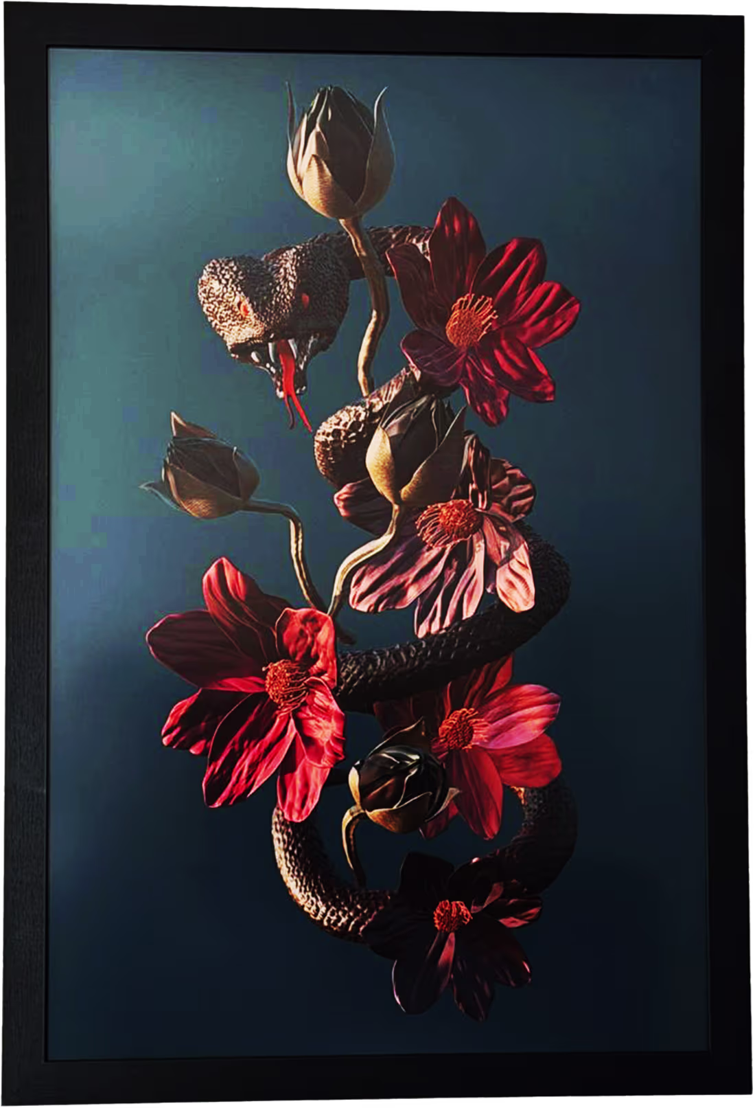 Cover image for Apex of the Dark Florist