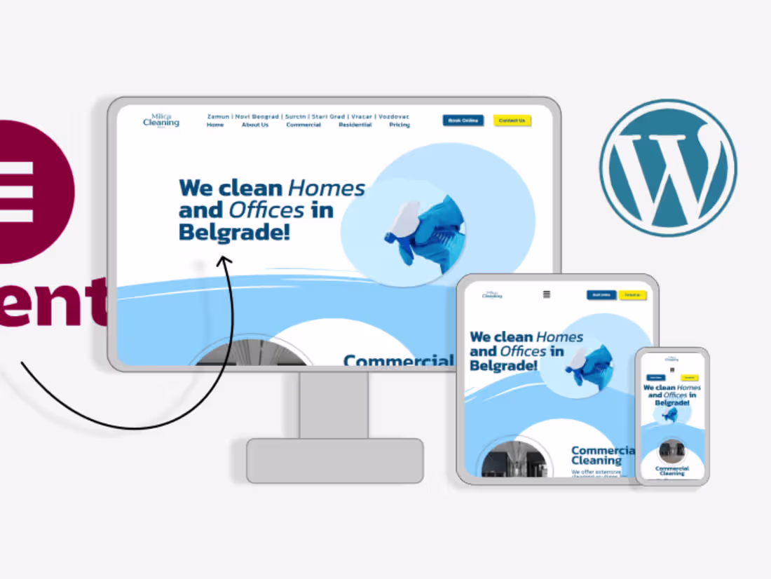 Cover image for Figma website design and WordPress development