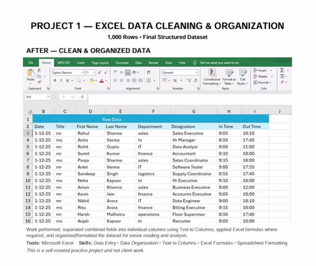 Cover image for 📊 Excel Data Cleaning &
