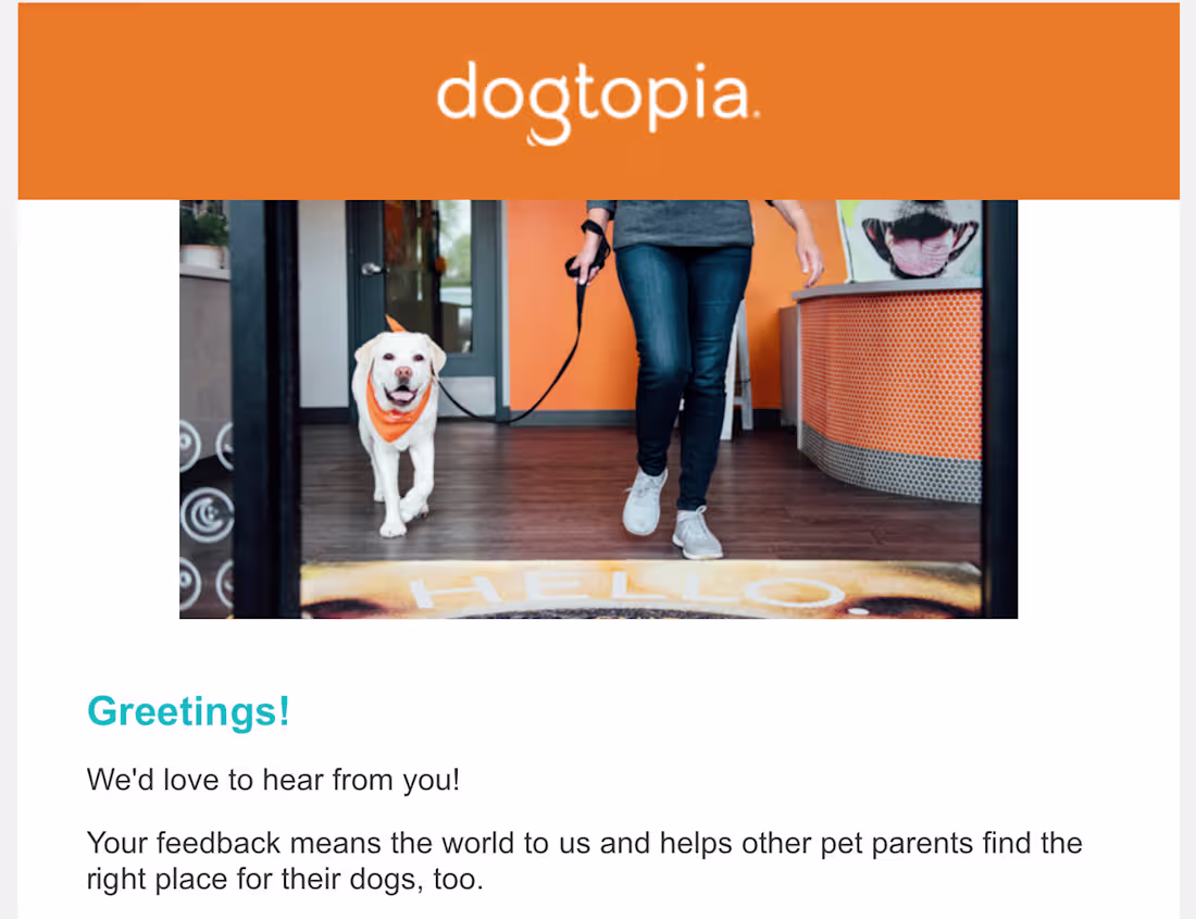Cover image for Boosted Dogtopia’s local visibility with a targeted Google r...