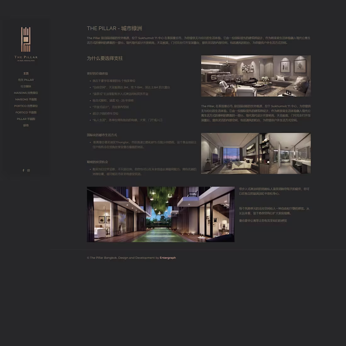 Cover image for Pillar Webdesign Chinese