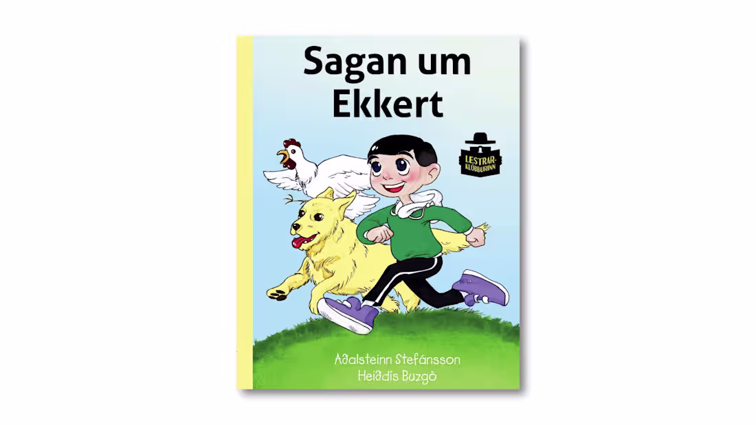 Cover image for SAGAN UM EKKERT
Illustrations for the