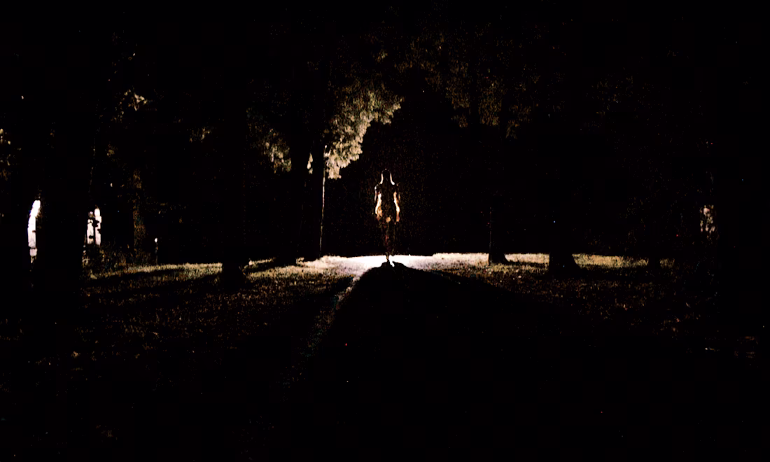Cover image for NOT NOW - film still