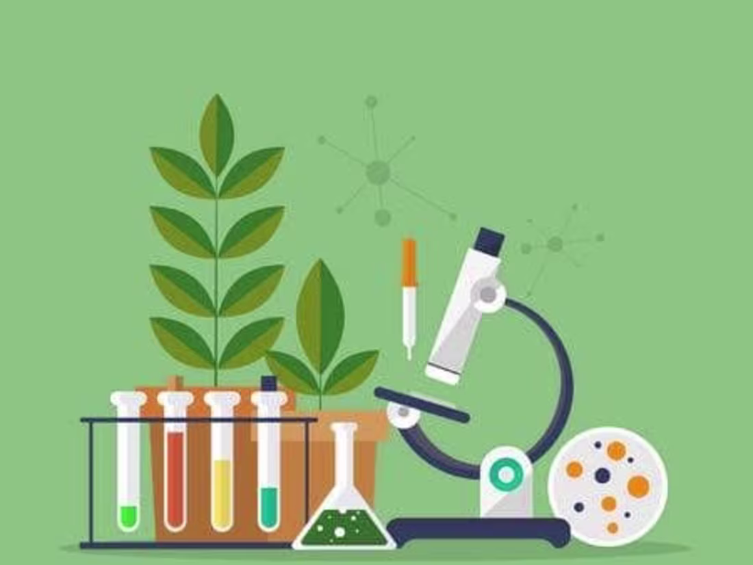 Cover image for Targeted Email Marketing Campaigns for Patient Engagement