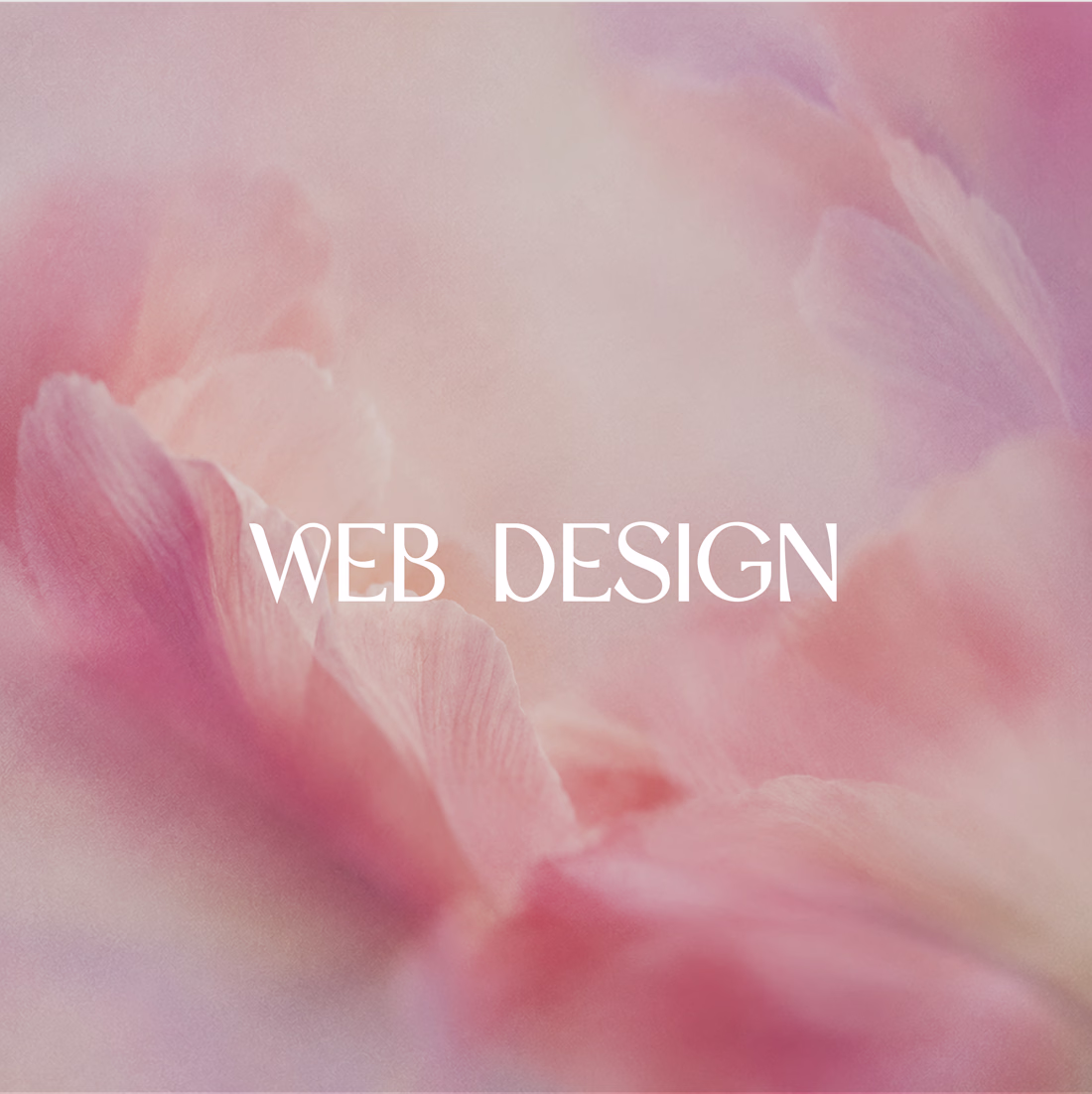 Cover image for Custom Website Design & Redesign for Startups