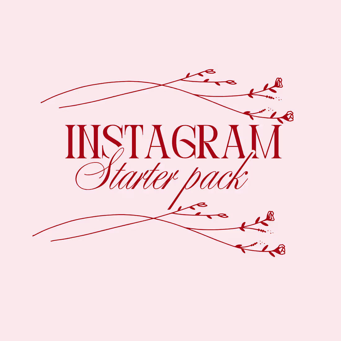 Cover image for Instagram Starter Package
