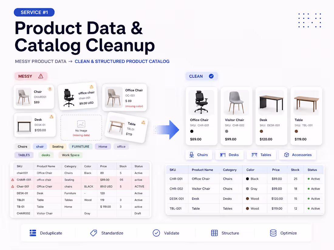 Cover image for Product Data Cleanup & Catalog Management