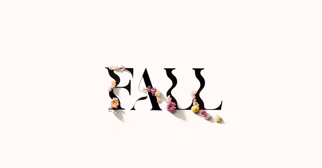Cover image for Express brand