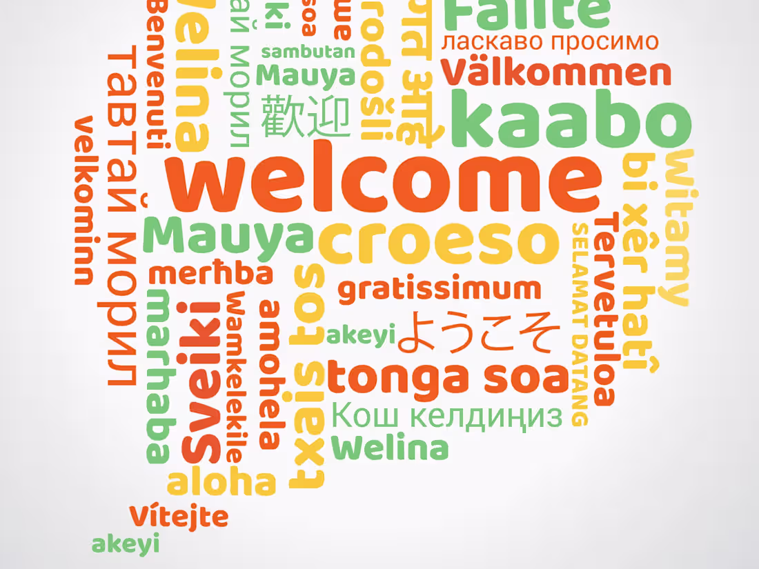 Cover image for Professional Arabic, English, and French Translation