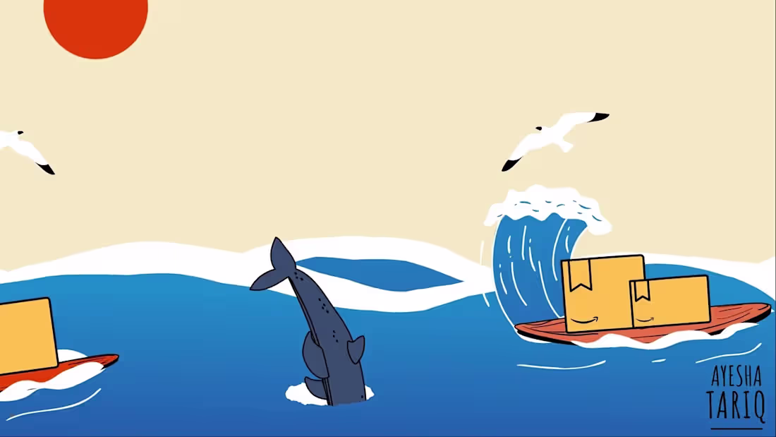 Cover image for Amazon Surfing 
