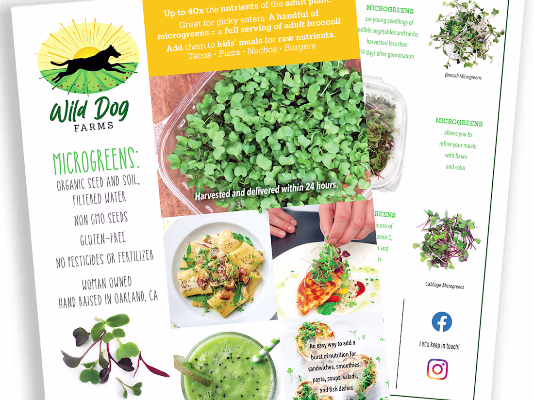 Cover image for Design a flyer or sell sheet