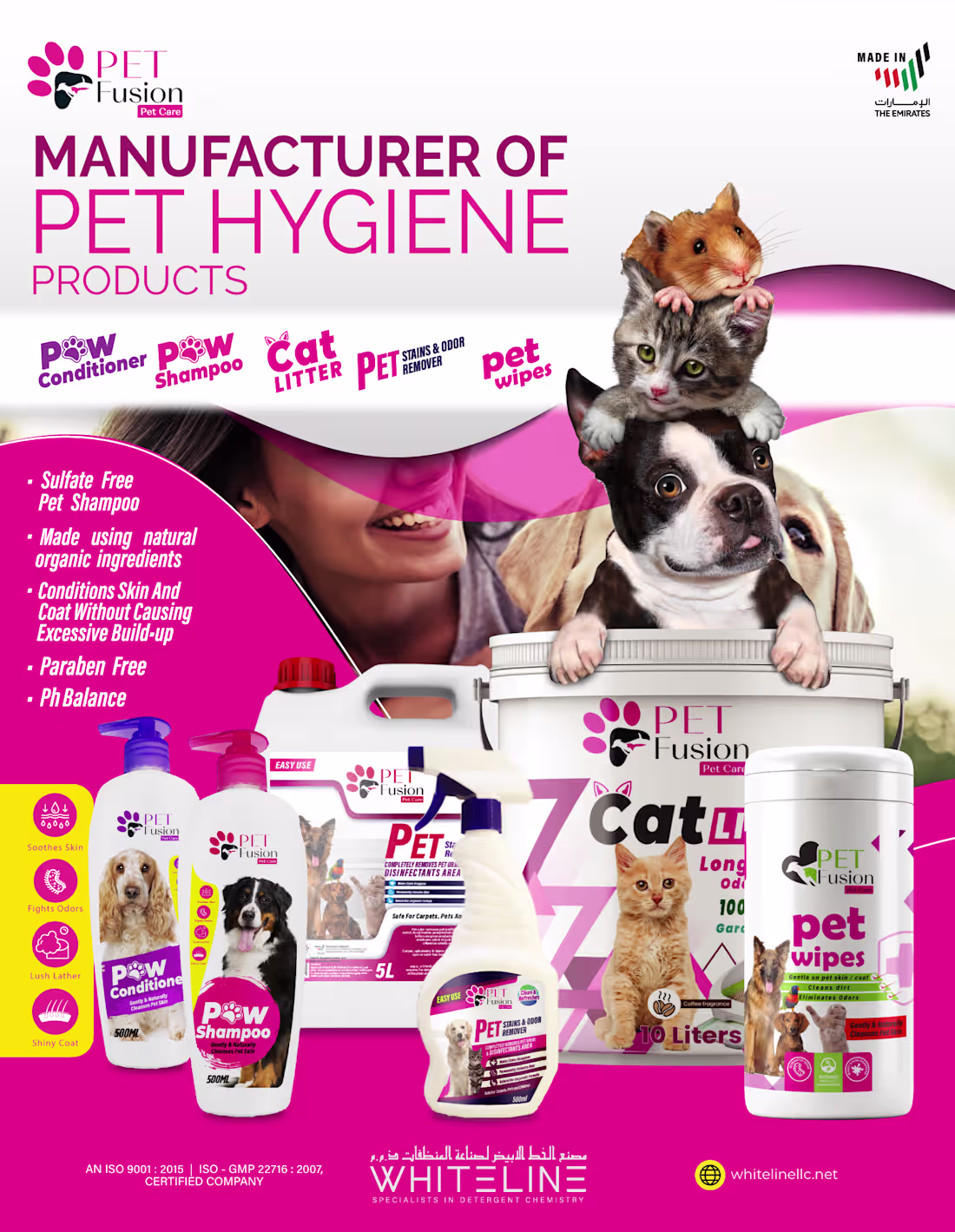 Cover image for Pet Fusion Brand Development From