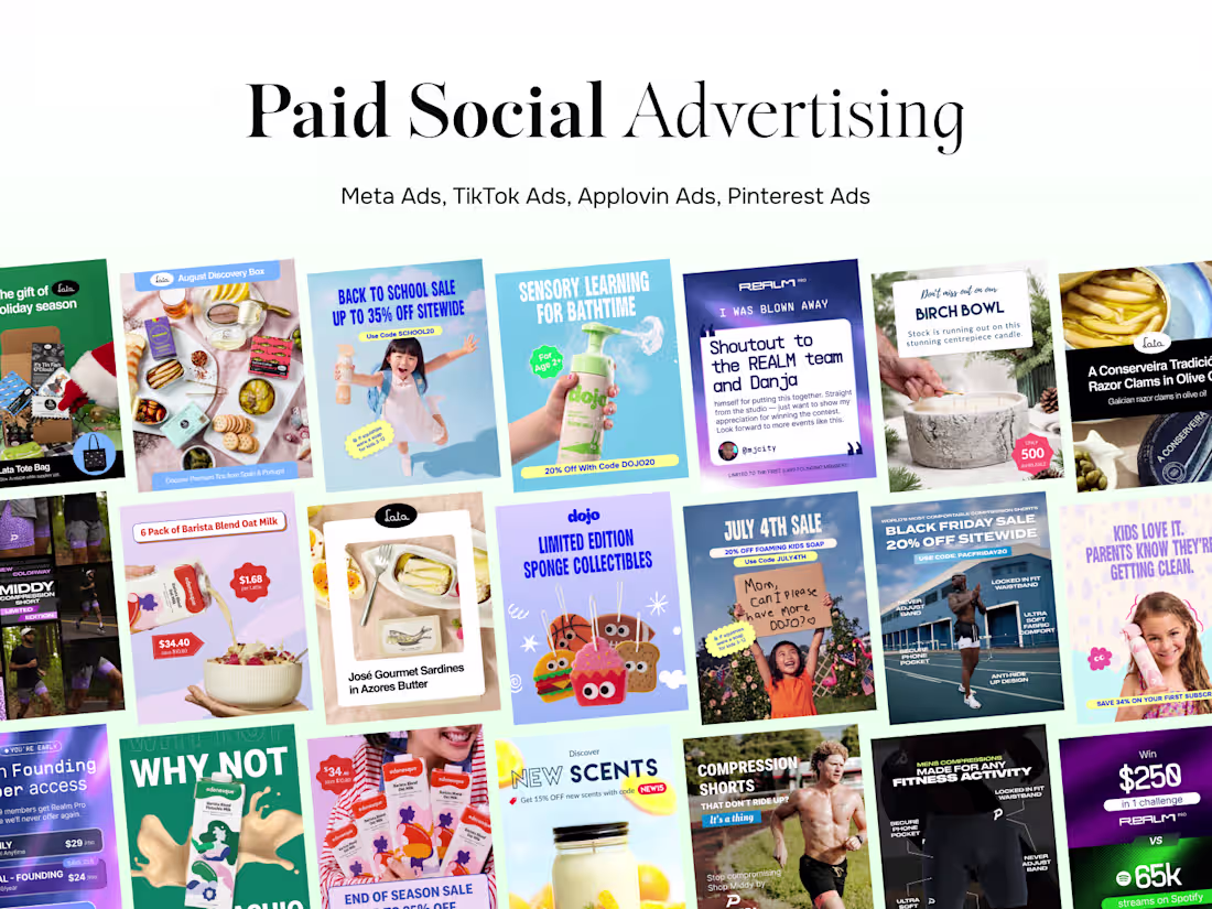 Cover image for Paid Social Media Advertising