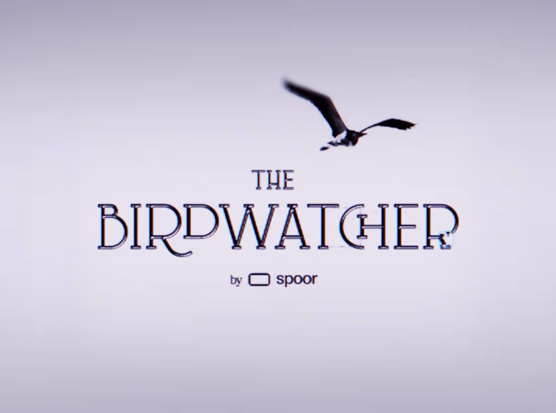Cover image for The Birdwatcher AI