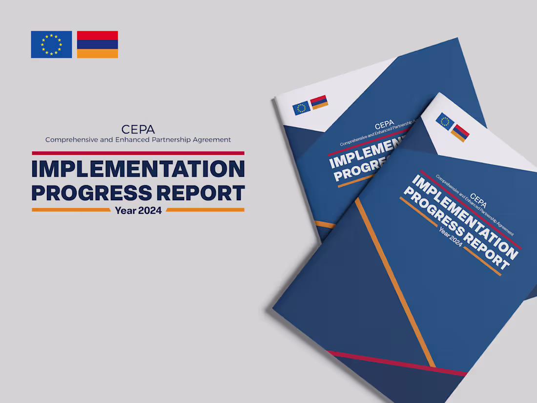 Cover image for Publication design and infographic system