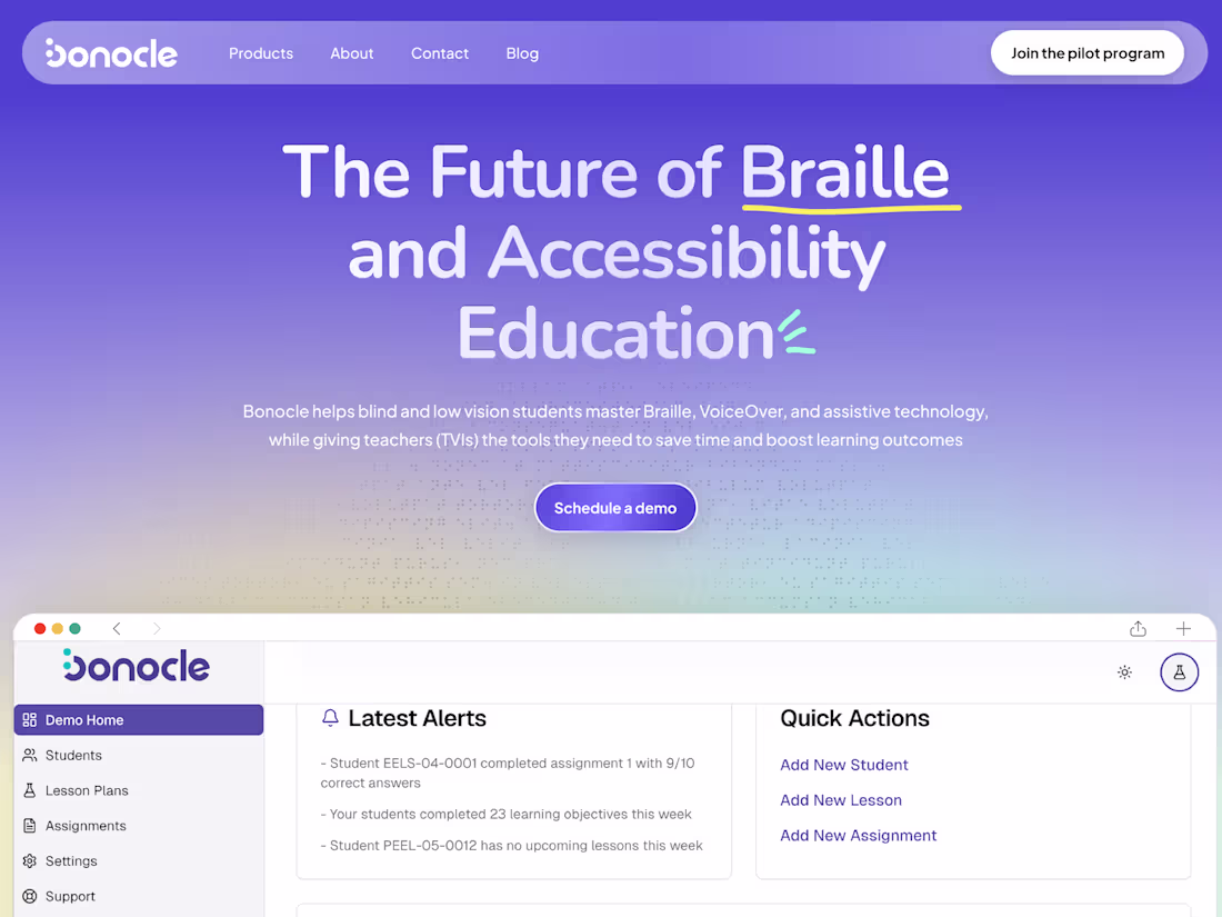 Cover image for Braille website