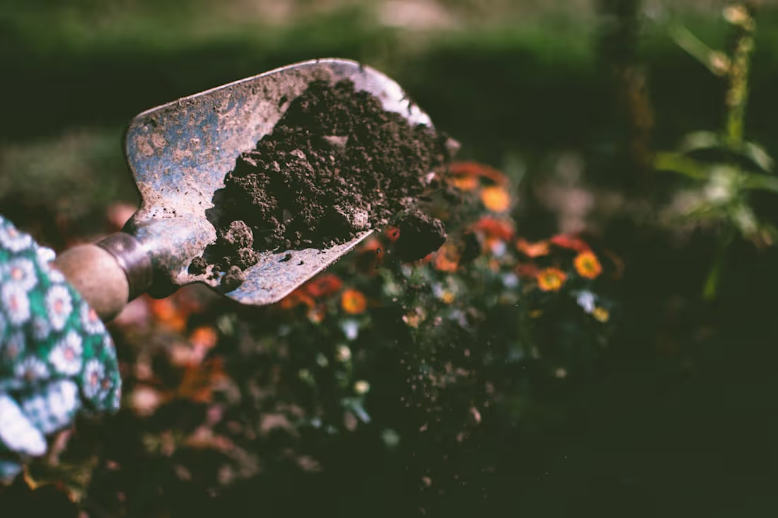 Cover image for Eco-Friendly Lifestyle Articles for Tea Tree Valley