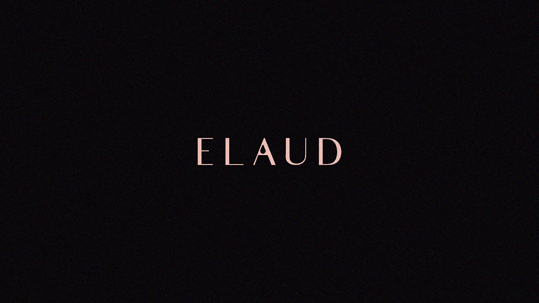 Cover image for Beauty Brand Style Guide (ELAUD)