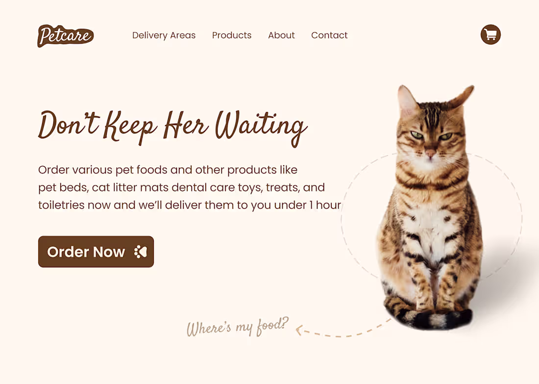 Cover image for Petcare - UI Design for