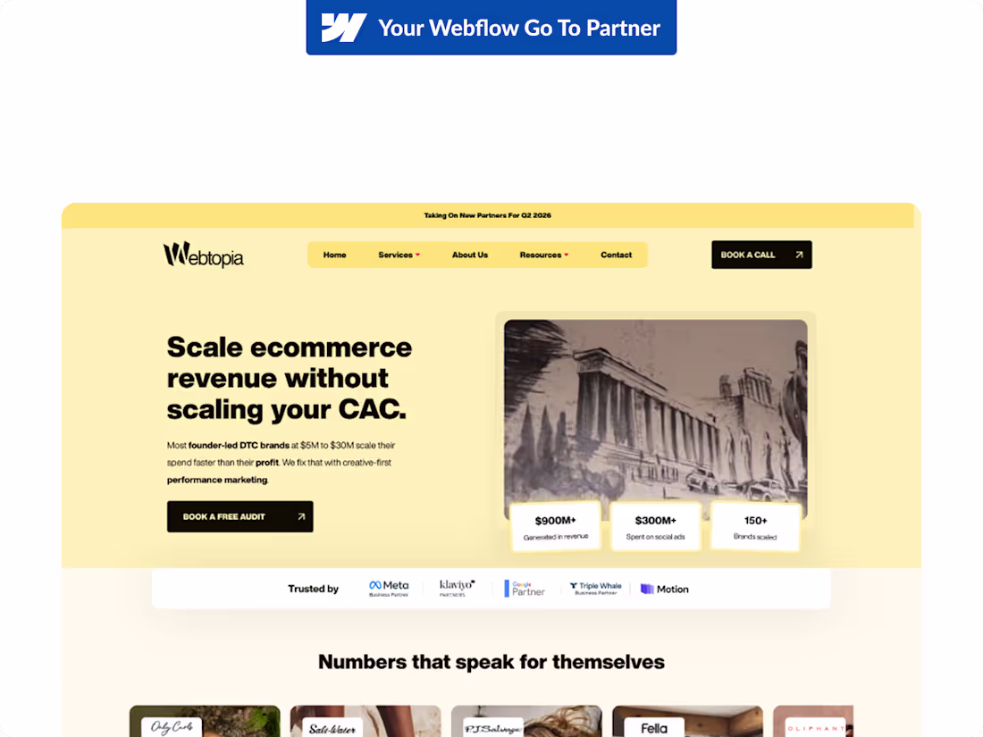 Cover image for Webtopia