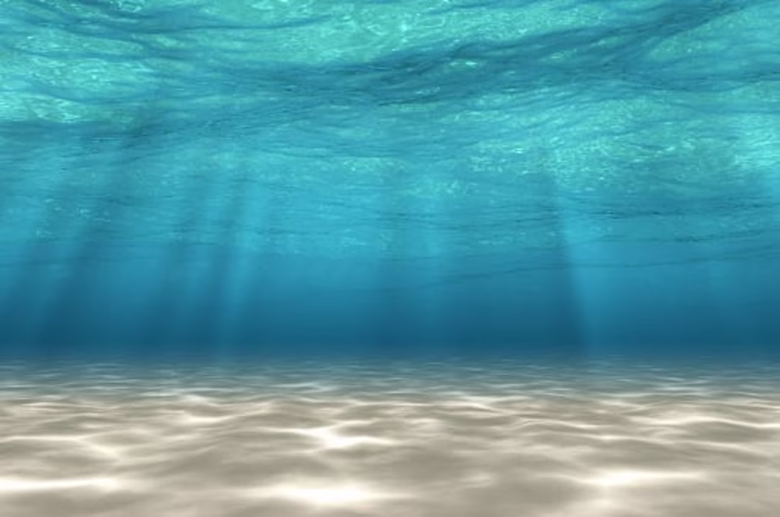 Cover image for Underwater resort lobby