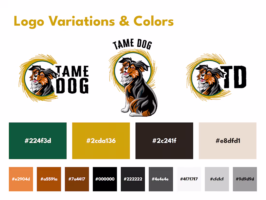 Cover image for Brand Identity Package